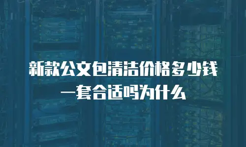 新款公文包清洁价格多少钱一套合适吗为什么