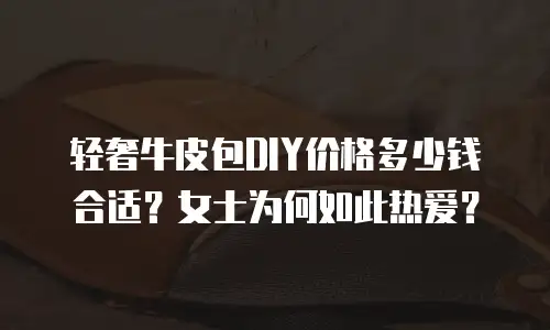 轻奢牛皮包DIY价格多少钱合适？女士为何如此热爱？