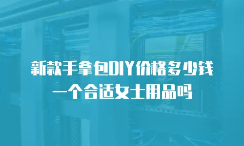 新款手拿包DIY价格多少钱一个合适女士用品吗