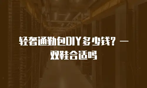 轻奢通勤包DIY多少钱？一双鞋合适吗