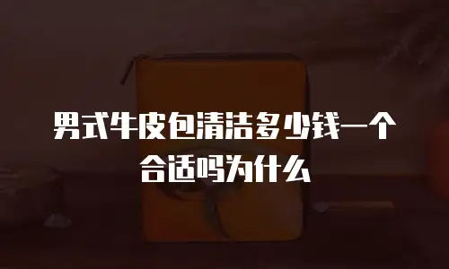 男式牛皮包清洁多少钱一个合适吗为什么
