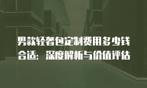 男款轻奢包定制费用多少钱合适：深度解析与价值评估