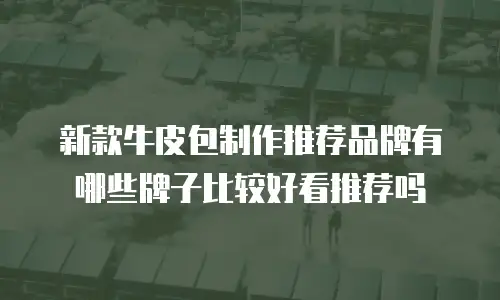新款牛皮包制作推荐品牌有哪些牌子比较好看推荐吗