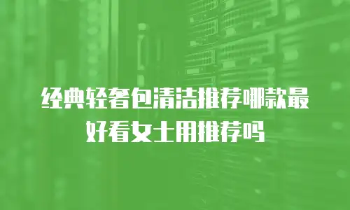 经典轻奢包清洁推荐哪款最好看女士用推荐吗