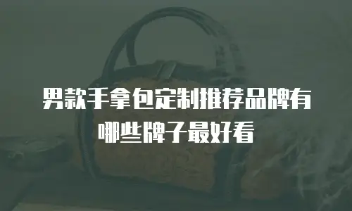 男款手拿包定制推荐品牌有哪些牌子最好看