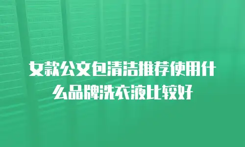 女款公文包清洁推荐使用什么品牌洗衣液比较好