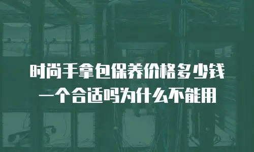 时尚手拿包保养价格多少钱一个合适吗为什么不能用