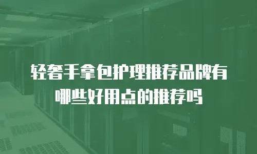 轻奢手拿包护理推荐品牌有哪些好用点的推荐吗