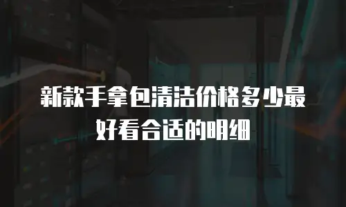 新款手拿包清洁价格多少最好看合适的明细