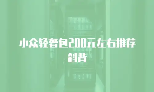 小众轻奢包200元左右推荐斜背