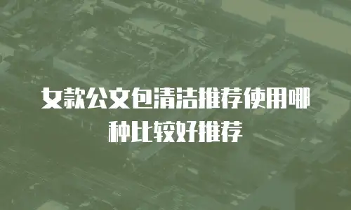 女款公文包清洁推荐使用哪种比较好推荐