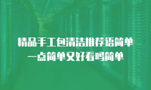 精品手工包清洁推荐语简单一点简单又好看吗简单