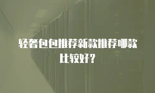 轻奢包包推荐新款推荐哪款比较好？