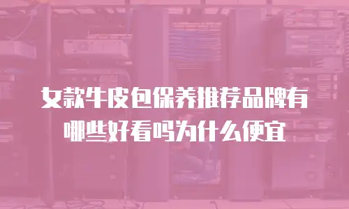 女款牛皮包保养推荐品牌有哪些好看吗为什么便宜