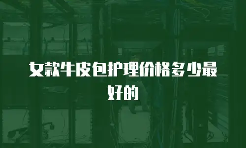 女款牛皮包护理价格多少最好的