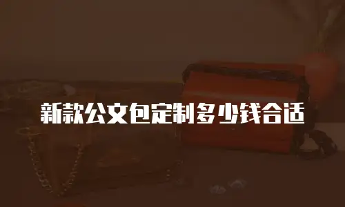 新款公文包定制多少钱合适
