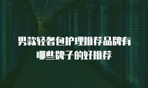 男款轻奢包护理推荐品牌有哪些牌子的好推荐