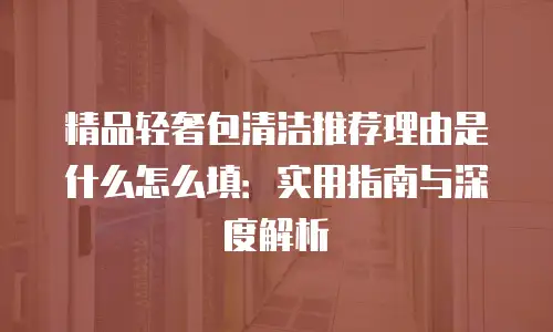 精品轻奢包清洁推荐理由是什么怎么填：实用指南与深度解析