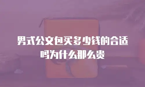 男式公文包买多少钱的合适吗为什么那么贵