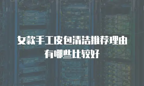 女款手工皮包清洁推荐理由有哪些比较好