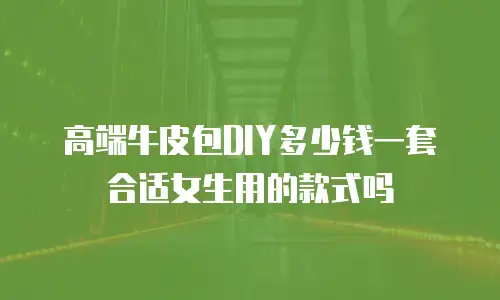 高端牛皮包DIY多少钱一套合适女生用的款式吗