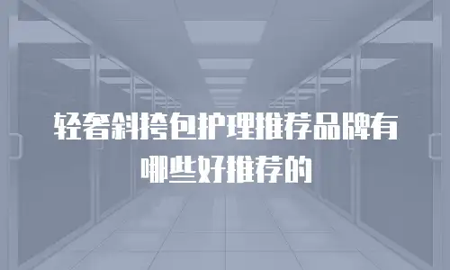 轻奢斜挎包护理推荐品牌有哪些好推荐的