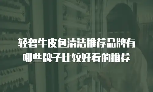 轻奢牛皮包清洁推荐品牌有哪些牌子比较好看的推荐