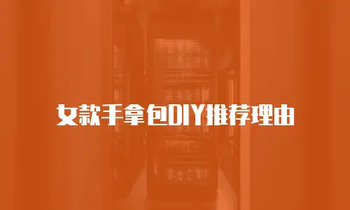 女款手拿包DIY推荐理由