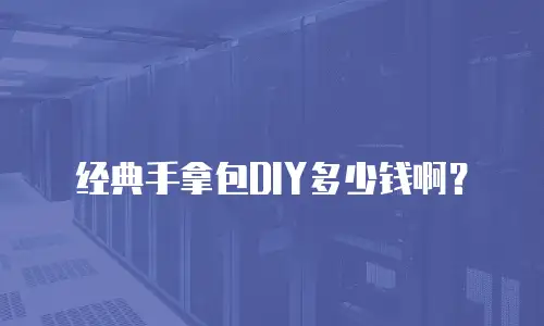 经典手拿包DIY多少钱啊？