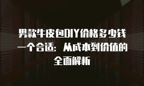 男款牛皮包DIY价格多少钱一个合适：从成本到价值的全面解析
