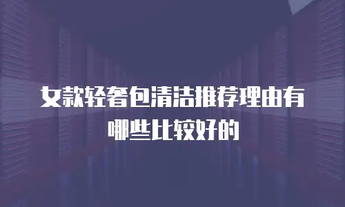女款轻奢包清洁推荐理由有哪些比较好的