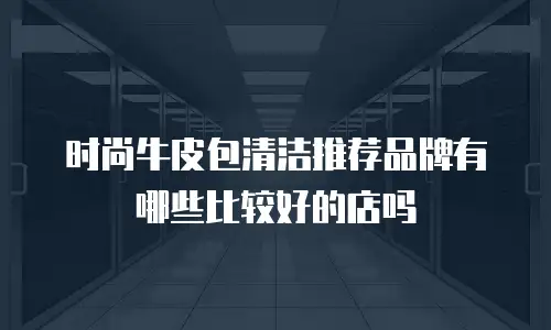 时尚牛皮包清洁推荐品牌有哪些比较好的店吗