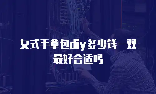 女式手拿包diy多少钱一双最好合适吗