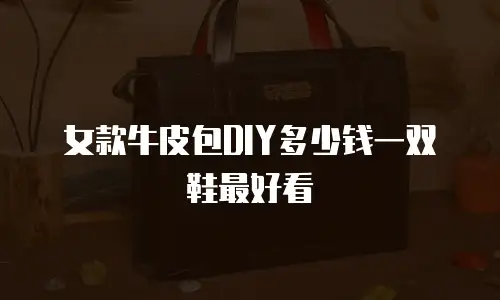 女款牛皮包DIY多少钱一双鞋最好看
