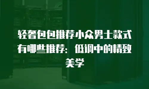 轻奢包包推荐小众男士款式有哪些推荐：低调中的精致美学