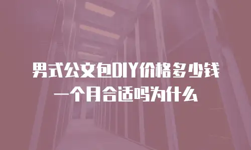 男式公文包DIY价格多少钱一个月合适吗为什么
