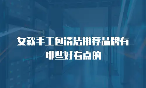 女款手工包清洁推荐品牌有哪些好看点的