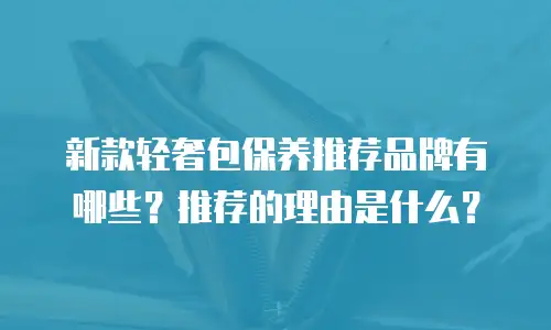 新款轻奢包保养推荐品牌有哪些？推荐的理由是什么？