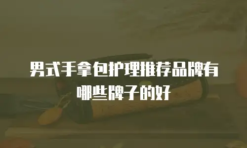 男式手拿包护理推荐品牌有哪些牌子的好