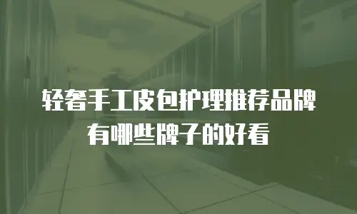 轻奢手工皮包护理推荐品牌有哪些牌子的好看