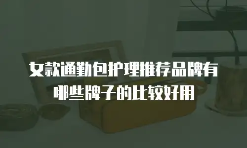女款通勤包护理推荐品牌有哪些牌子的比较好用