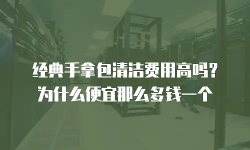 经典手拿包清洁费用高吗？为什么便宜那么多钱一个