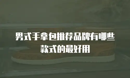 男式手拿包推荐品牌有哪些款式的最好用