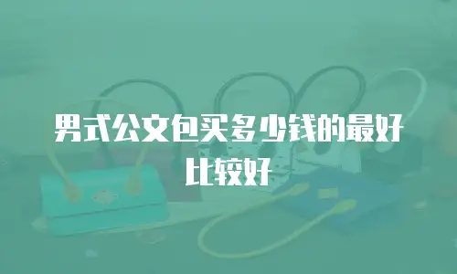 男式公文包买多少钱的最好比较好