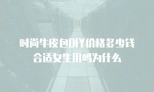 时尚牛皮包DIY价格多少钱合适女生用吗为什么