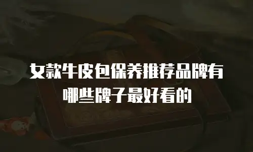 女款牛皮包保养推荐品牌有哪些牌子最好看的