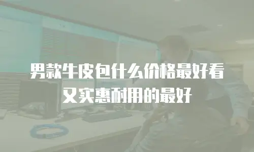 男款牛皮包什么价格最好看又实惠耐用的最好