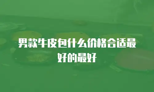 男款牛皮包什么价格合适最好的最好