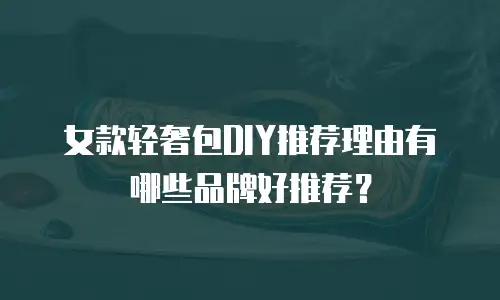 女款轻奢包DIY推荐理由有哪些品牌好推荐？