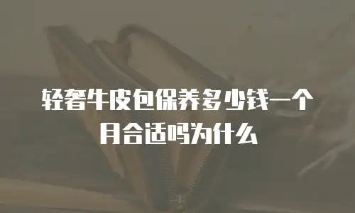 轻奢牛皮包保养多少钱一个月合适吗为什么